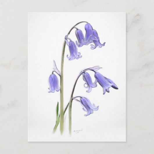 Standard, 12,7 cm x 17,8 cm Faltkarte Postkarte (Vorderseite)