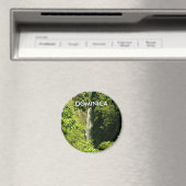 Standard, 2¼ Zoll, gerundetes Magnet (In Situ (Geschirrspüler))