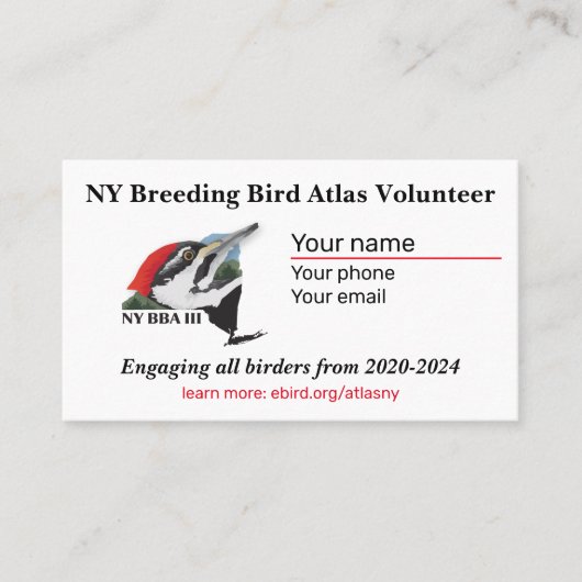 Standard, 3,5 Zoll x 2,0" Visitenkarte (Vorderseite)