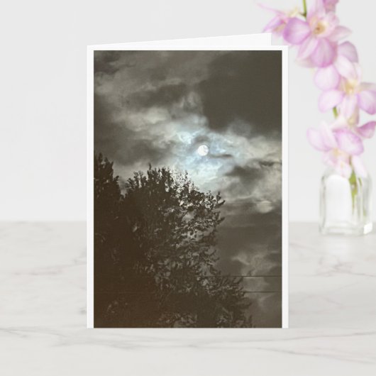 Standard, 5" x 7" geklappte Grußkarte Karte (Orchidee)