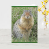 Standard, 5" x 7" geklappte Grußkarte Karte (Gelbe Blume)