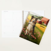Standard Collie auf dem Bauernhof Planer (Anzeige)