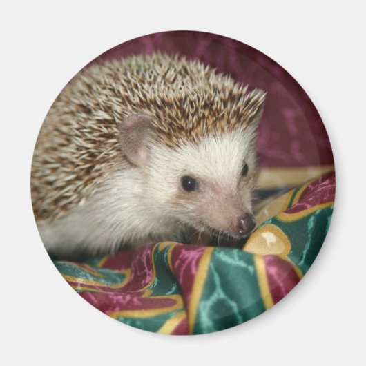 Standard-hh-Magnet Magnet (Vorne)