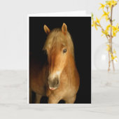 Standard Karte (Gelbe Blume)