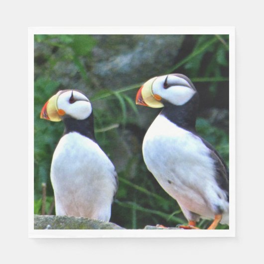 Standard-Papierservietten mit Puffsack Serviette (Vorderseite)