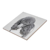 Standard Poodle Black Parti Painting - Dog Art Fliese (Seite)