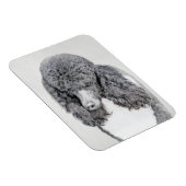 Standard Poodle Black Parti Painting - Dog Art Magnet (Rechte Seite)