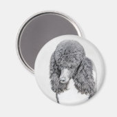 Standard Poodle Black Parti Painting - Dog Art Magnet (Vorderseite/Rückseite)