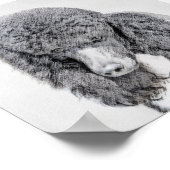 Standard Poodle Black Parti Painting - Dog Art Poster (Ecke)