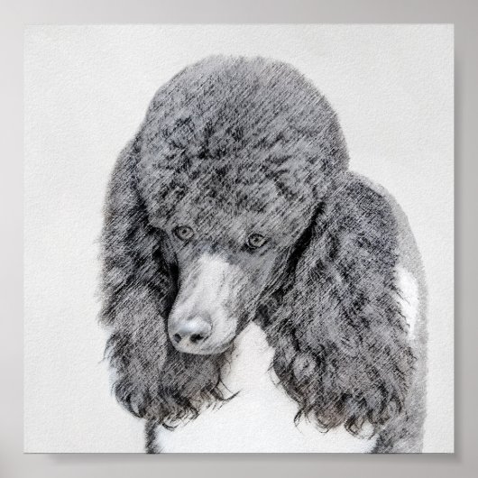 Standard Poodle Black Parti Painting - Dog Art Poster (Vorne)
