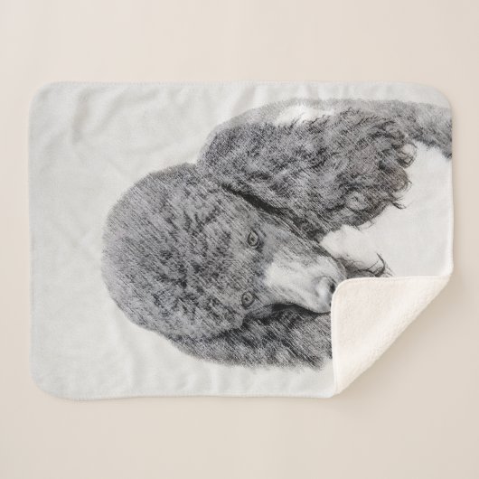 Standard Poodle Black Parti Painting - Dog Art Sherpadecke (Vorderseite (Horizontal))