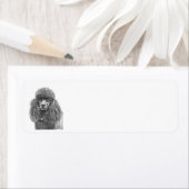 Standard Poodle Charcoal Sketch (Insitu)