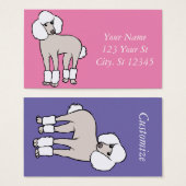 Standard Poodle Dog Thunder_Cove (Vorne & Hinten)