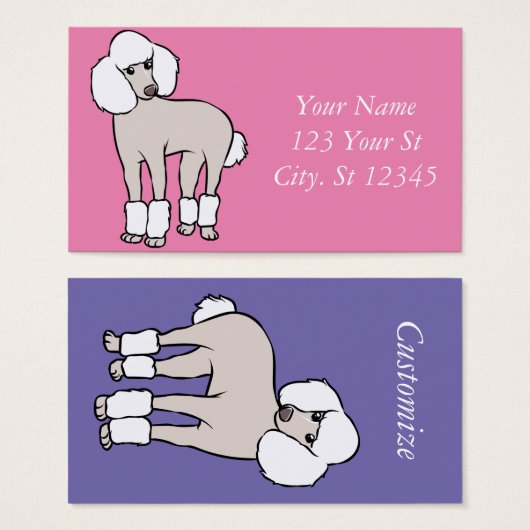 Standard Poodle Dog Thunder_Cove (Vorne & Hinten)