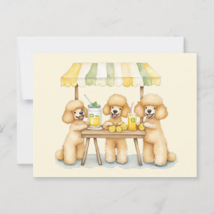 Standard Poodle Hunde, die auf einem Limonade-Stan Postkarte