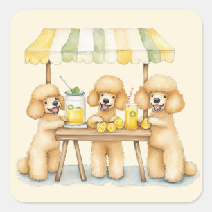 Standard Poodle Hunde, die auf einem Limonade-Stan Quadratischer Aufkleber