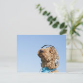 Standard Poodle Postkarte (Stehend Vorderseite)