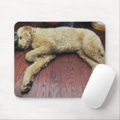 Standard Poodle Schlafen auf dem Boden Mousepad (Mit Mouse)
