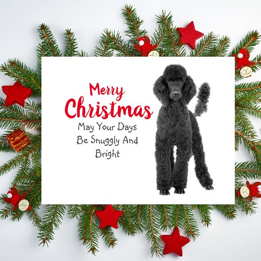 Standard Poodle Weihnachtskarte Feiertagspostkarte