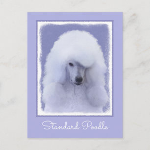 Standard Poodle White Painting - Original Dog Art Postkarte