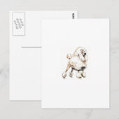 Standard Poodle White Postkarte (Vorne/Hinten)