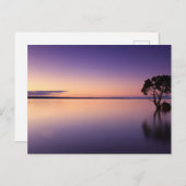 Standard Postcard Postkarte (Vorne/Hinten)