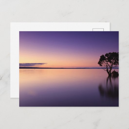 Standard Postcard Postkarte (Vorne/Hinten)