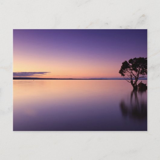 Standard Postcard Postkarte (Vorderseite)