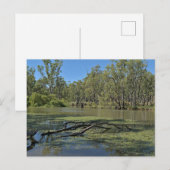 Standard postcard postkarte (Vorne/Hinten)