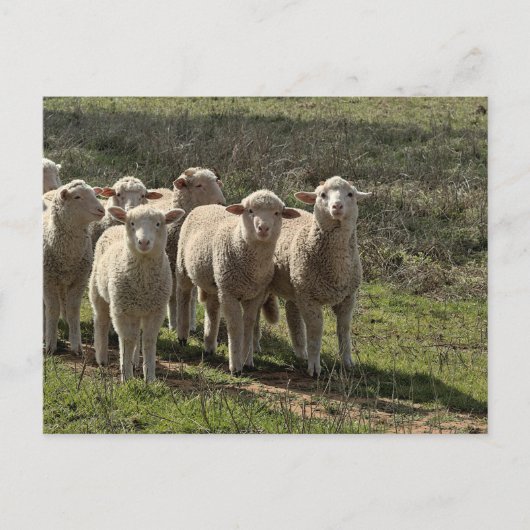 Standard Postkarte (Vorderseite)