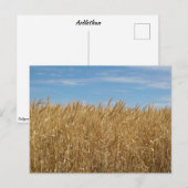 Standard Postkarte (Vorne/Hinten)