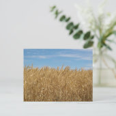 Standard Postkarte (Stehend Vorderseite)