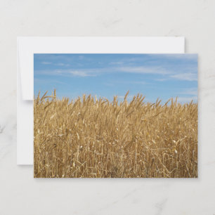 Standard Postkarte