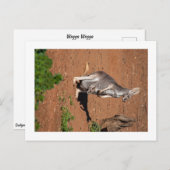 Standard Postkarte (Vorne/Hinten)