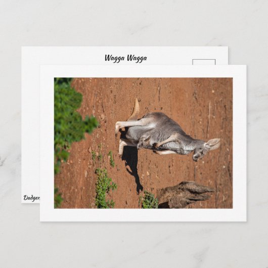 Standard Postkarte (Vorne/Hinten)