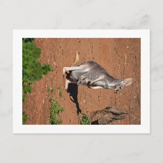 Standard Postkarte (Vorderseite)