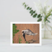 Standard Postkarte (Stehend Vorderseite)