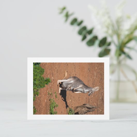 Standard Postkarte (Stehend Vorderseite)