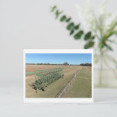 standard postkarte (Stehend Vorderseite)