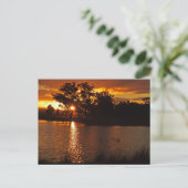 Standard Postkarte (Stehend Vorderseite)