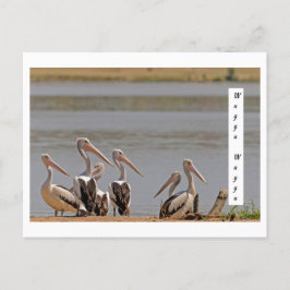 standard postkarte