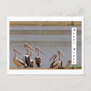standard postkarte