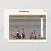 standard postkarte (Vorne/Hinten)