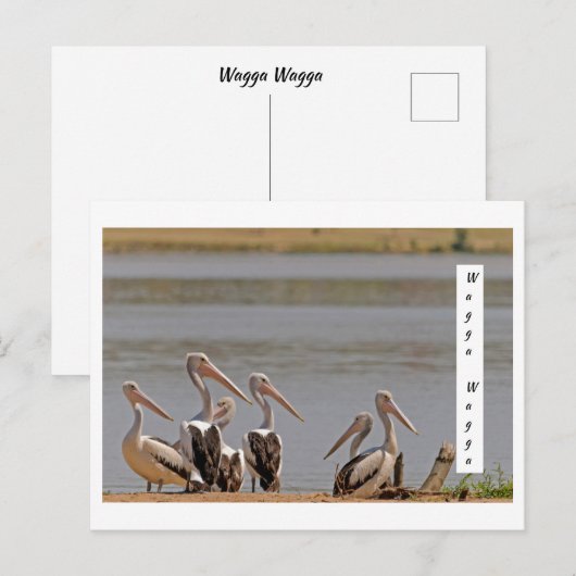 standard postkarte (Vorne/Hinten)