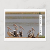 standard postkarte (Vorderseite)