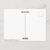 Standard Postkarte (Rückseite)