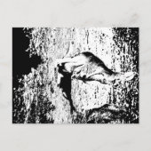 Standard Postkarte (Vorderseite)