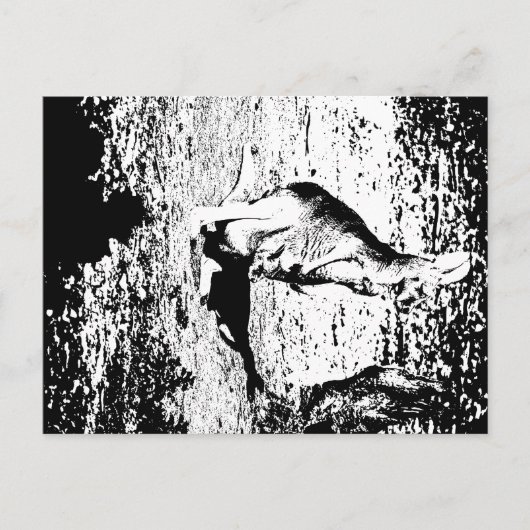 Standard Postkarte (Vorderseite)