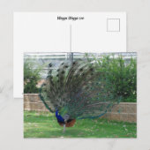 Standard Postkarte (Vorne/Hinten)
