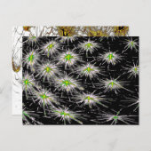 Standard Postkarte (Vorne/Hinten)